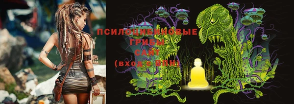 прущий лед Богородск