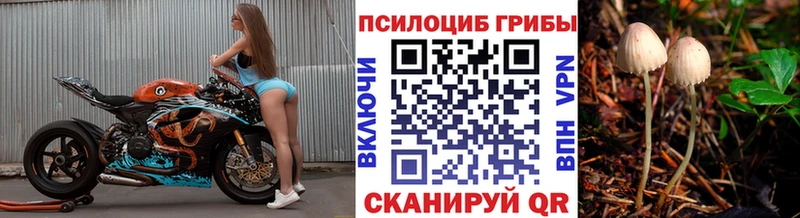 Псилоцибиновые грибы мицелий  где можно купить наркотик  мега как войти  Бугуруслан 